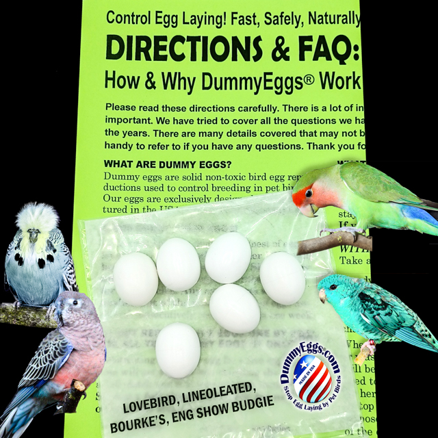 DummyEggs® for LOVEBIRD, LINEOLEATED & BOURKE'S, ENGLISH SHOW BUDGIES